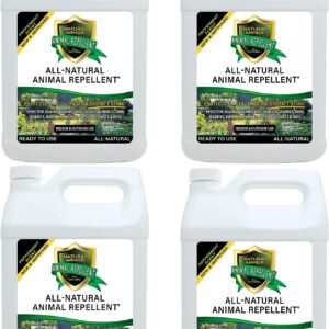 Natural Armor Animal & Rodent Repellent Spray. Repels Skunks, Raccoons, Rats, Mice, Deer Rodents & Critters. Repeller & Deterrent in Powerful Peppermint Formula – 128 Fl Oz Gallon Refill Case of 4