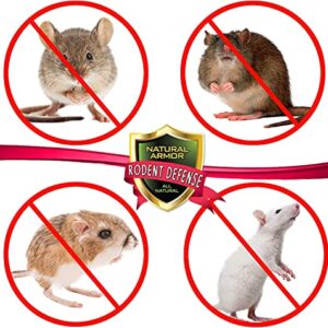 Natural Armor Peppermint Repellent for Mice/Mouse, Rats & Rodents. Natural Spray for Indoor & Outdoor Use Rodent Shield - 128 Fl Oz Gallon Refill, Case of 4