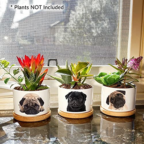 GIFTAGIRL Pug Gifts for Pug Lovers - Pretty Pug Decor our Pug Planter Sets are Perfect for Black or White Pug Lovers Who Love their Pug Stuff and Great for any Occasion - Arrive Beautifully Gift Boxed