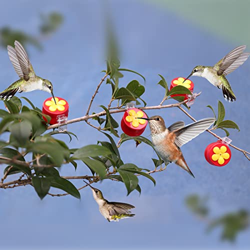 PiiSheou 4 Pack Handheld Hummingbird Feeders, Mini Plastic Window Hummingbird Feeders with Clips for Hummingbird House,Flowerpot,Tree Branch