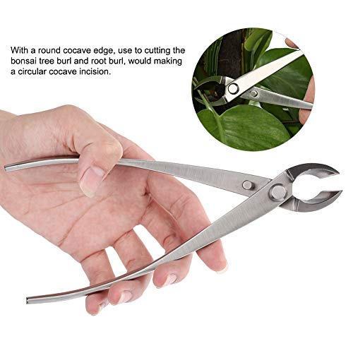 FECAMOS Knob Branch Cutter, Knob Bonsai Cutter Strong Tenacity Branch Cutter Ergonomic Handles for Cutting Bonsai Tree Burl for Making Circular Cocave Incision