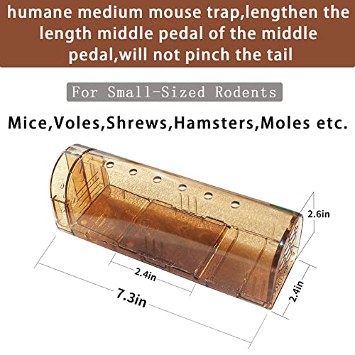 Humane Mouse Traps no Kill，Live Mouse Trap，Catch and Release That Works for Indoor/Outdoor 2 Pack Green and Brown，Kids and Pets Safe，Easy to Set/Clean，Reusable for Small Voles、Hamsters、Moles。