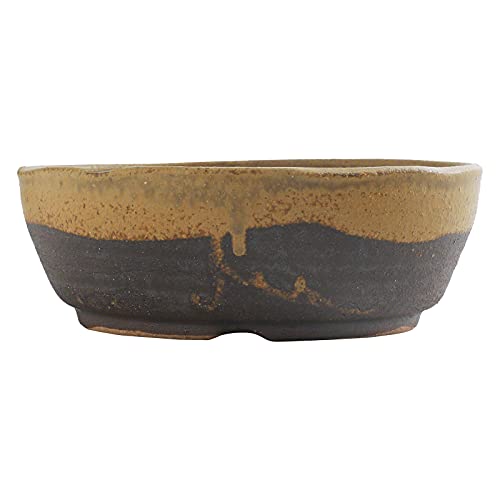 Wazakura Shigaraki Series Yellow Dust Stripe Glazed Ceramic Bonsai Pot Made in Japan, Garden Training Container, Flower Planter, Succulent Bowl - Yellow Sand Small Size