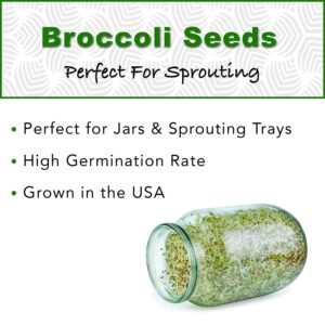 1 lb Broccoli Sprouting Seeds - Perfect for Sprouting & Microgreens, Rich in Sulforaphane, USA Grown (Resealable Bag)