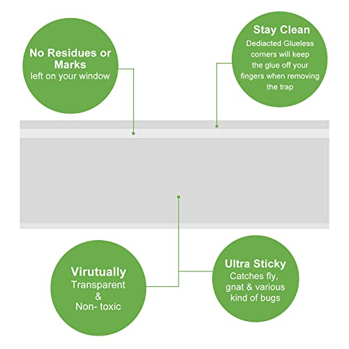 LFSYS 50 Pack Window Fly Traps, Fruit Fly Traps for Indoors, Fly Paper Sticky Strips, Fly Traps for Indoors Clear