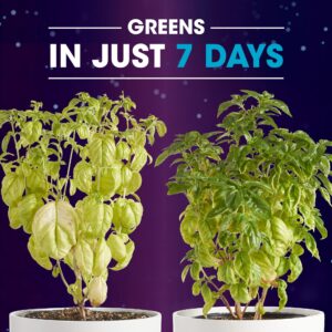 Miracle-Gro Rescue Outdoor Plant Potion - 3-Step Garden Saver - Plant Food to Revive Yellowing, Wilting Plants in 7 Days