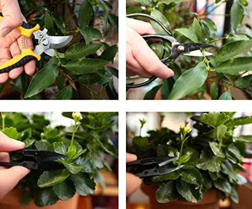 Phoenicus Bonsai Tools Set 13 Pcs High Carbon Steel Succulent Gardening Trimming Tools Set, Bonsai Scissors Set, yellow