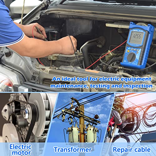 Digital Insulation Resistance Tester, RQ-6688F Voltage Tester 250/500/ 1000/ 2500V, Auto Range Megohmmeter 1MΩ~20GΩ, Resistance Tester with 1999 Count LCD Display, Data Hold, Back-Light （Battery）