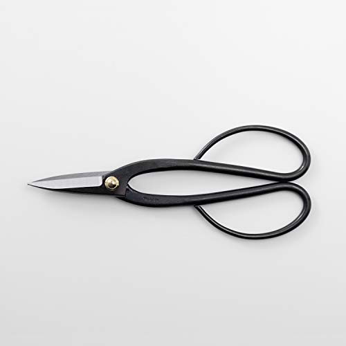 Wazakura Bonsai Pruning Scissors Tool Set Made in Japan, Japanese Trimming Shears Starter Kit - Ashinaga Bonsai Scissors and Satsuki Trimming Scissors Pack (Ashinaga + Satsuki Bonsai Scissors)