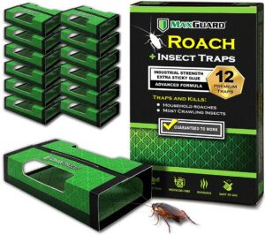 maxguard roach + spider traps (12 box traps) | non-toxic extra sticky box traps | trap and kill german cockroach, american, and oriental roaches plus crawling bugs & insects house |