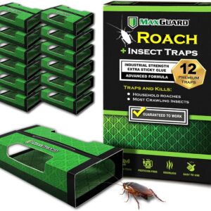 MaxGuard Roach + Spider Traps (12 Box Traps) | Non-Toxic Extra Sticky Box Traps | Trap and Kill German Cockroach, American, and Oriental Roaches Plus Crawling Bugs & Insects House |