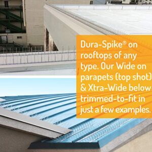 Bird Barrier Dura-Spike Stainless Steel Bird Spikes | Metal Pin Strips for Ledge, Roof, Pipe - Adhesive Included - Xtra Wide (8 in) 25 Ft. Length