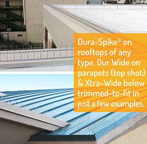 Bird Barrier Dura-Spike Stainless Steel Bird Spikes | Metal Pin Strips for Ledge, Roof, Pipe - Adhesive Included - Xtra Wide (8 in) 25 Ft. Length