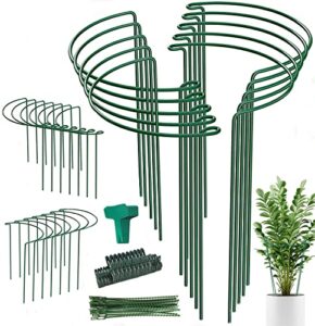24 pack plant support stake, half round metal garden plant stake, green plant support ring, border support with plant lables & plant clips for outdoor indoor plants, vegetable, flowers