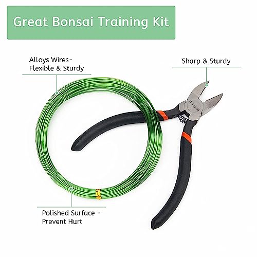 Zhaoyao Bonsai Training Wire Kit 164Ft Anodized Aluminum Tree Wire with Bonsai Tree Cutter Plant Training Wire Tools for Bonsai Trees Indoor Garden DIY Tools (Wire Size 1-mm, 1.5-mm, 2-mm)