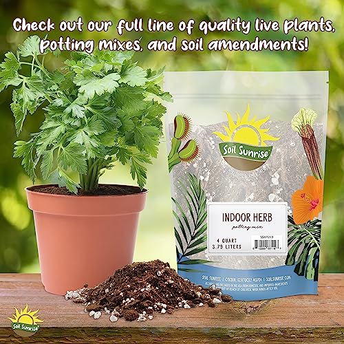 Carnivorous Plant Potting Soil Mix (1 Quart), Ideal Additive for Venus Fly Traps, Sundews, and Pitcher Plants