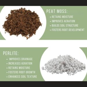 Carnivorous Plant Potting Soil Mix (1 Quart), Ideal Additive for Venus Fly Traps, Sundews, and Pitcher Plants