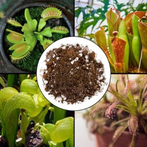 Carnivorous Plant Potting Soil Mix (1 Quart), Ideal Additive for Venus Fly Traps, Sundews, and Pitcher Plants