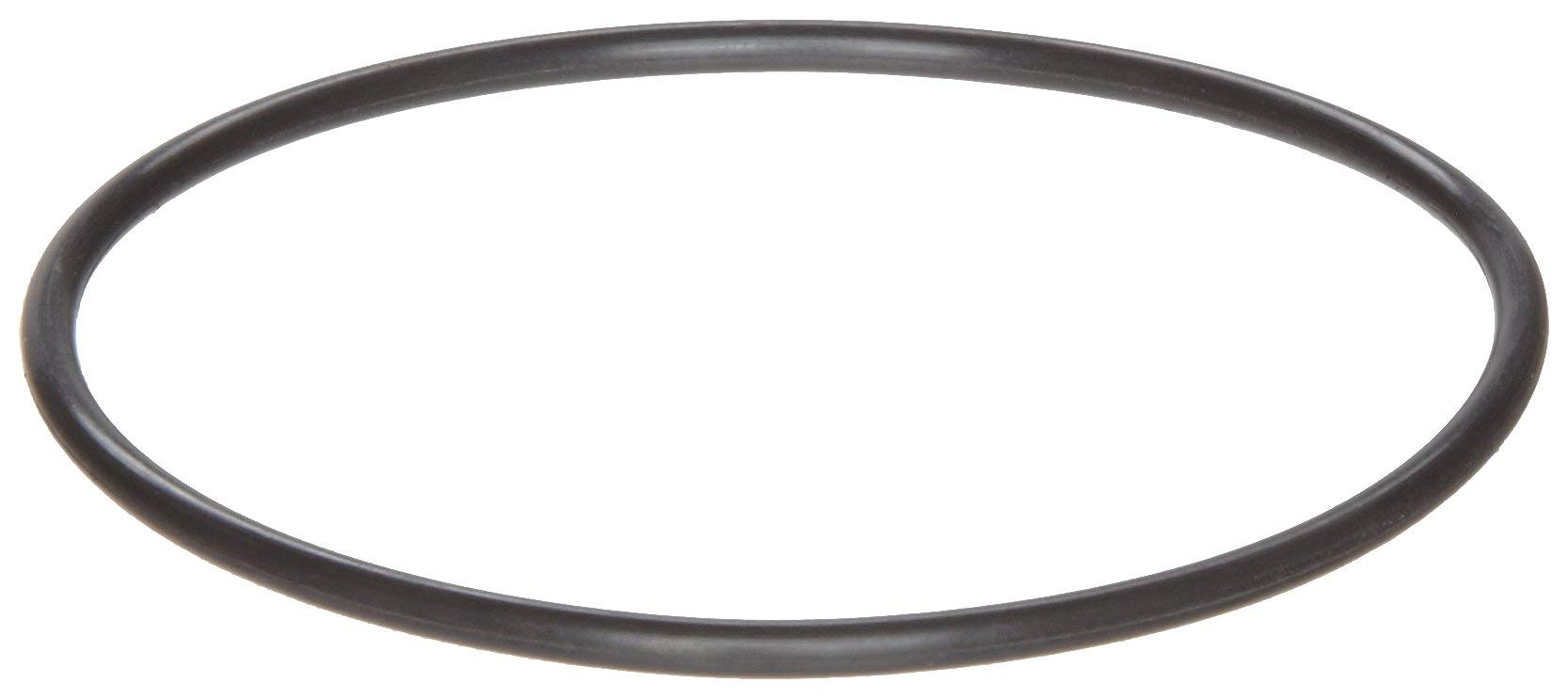 Beaver Island Parts Co. fits SWIMQUIP 35505-1440 Lid O-Ring Max-E-Pro