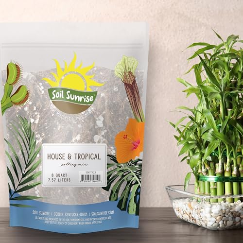 Tropical House Plant Potting Mix (8 Quarts); for All Types of Indoor House Plants