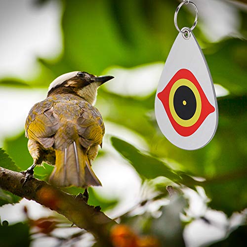 Yoidesu Bird Repellent 5Pcs Eye Design Reflective Decoy for Protecting Vegetable Fruit Trees