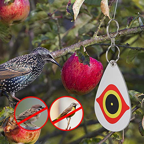 Yoidesu Bird Repellent 5Pcs Eye Design Reflective Decoy for Protecting Vegetable Fruit Trees