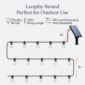Brightech Ambience Pro – Solar Power Remote Control Outdoor String Lights with Edison Bulbs – Shatterproof, Commercial Grade LED Waterproof Patio Lights, Christmas – 1W 15 Bulbs, 3,000K, 48 ft