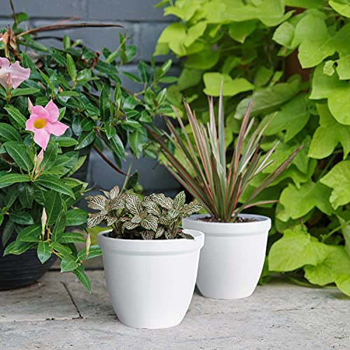 Sierra Concepts Flower Plant Pots for Planters 6 Inch - Set of 6 Plastic Planter Pot Modern Indoor Outdoor for Small Planting, Succulent Plants, Nursery, Orchid, House, Office Décor, Gardening, White