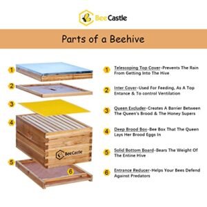 BeeCastle 8-Frame Bee Hives and Supplies Starter Kit,Beehive Kit Dipped in 100% Beeswax,Bee Keeping Supplies-All Beginners Kit Includes Beekeeping Supplies Tool Set and Bee Suit.