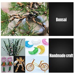 LEONTOOL Bonsai Tree Wire Aluminum Bonsai Training Wire 1mm/ 1.5 mm/ 2mm Bonsai Wire Cutter Flower Pot Hole Mesh Pad Bonsai Wire for Bonsai Trees Bonsai Wire and Bonsai Tool Kit