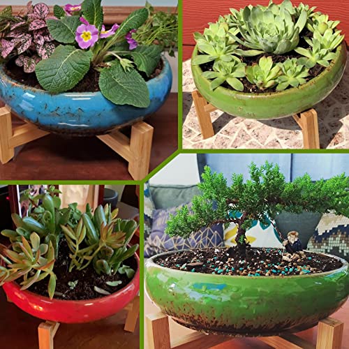 Succulent Pots, 10 Inch Large Succulent Planters with Stand - Ceramic Bonsai Pot with Drainage for Indoor Plants Cactus Flower Planter Pot Plus Succulent Planting Tools Set & 2.2lb Mix Pebbles