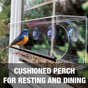 Sun Joe SJ-WBF-WN Outdoor Window Bird Feeder for Wild Birds, Bluebirds, Cardinals, and Others w/ 3 Heavy Duty Suction Cups, 2 Sliding Seed Trays, Drain Holes, Clear