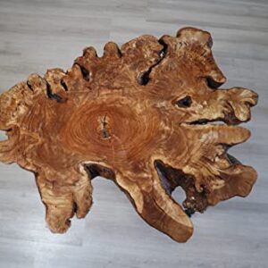 Live Edge Olive Tree Root Amazing Naturally Form Wood Slab, Big Coffee Table 79X 77 cm (Handmade)