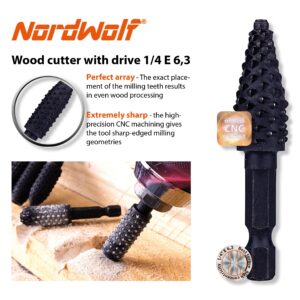 NordWolf 10-Piece Rotary Burr Wood Carving Rasp Files Set, with 1/4" Hex Shank for Wood & Rubber Deburring, Shaping and Grooving