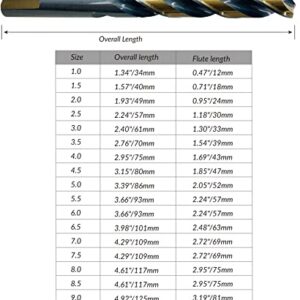 NordWolf 19-Piece Metric HSS M2 Fully Ground Twist Jobber Drill Bit Set, Multi-Drilling Edges Double Flute Tri-Flatted Shank Black Gold Finishing in Heavy Duty Injection Plastic Box, Sizes 1mm to 10mm