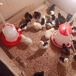 Chick Feeder and Waterer Kit Hanging Poultry Feeder & Drinker,1.5 L Waterer and 1Kg Feeder Set Chicken Water Feeder Kit for Farm,Chicken,Coop