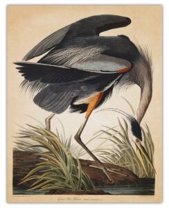 vintage blue heron wall art print: 11x14 unframed bird wall decor poster for home, office, dorm, farmhouse, bedroom & living room | creative housewarming gift idea for bird and nature lovers