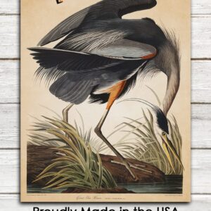 Vintage Blue Heron Wall Art Print: 11x14 Unframed Bird Wall Decor Poster for Home, Office, Dorm, Farmhouse, Bedroom & Living Room | Creative Housewarming Gift Idea for Bird and Nature Lovers