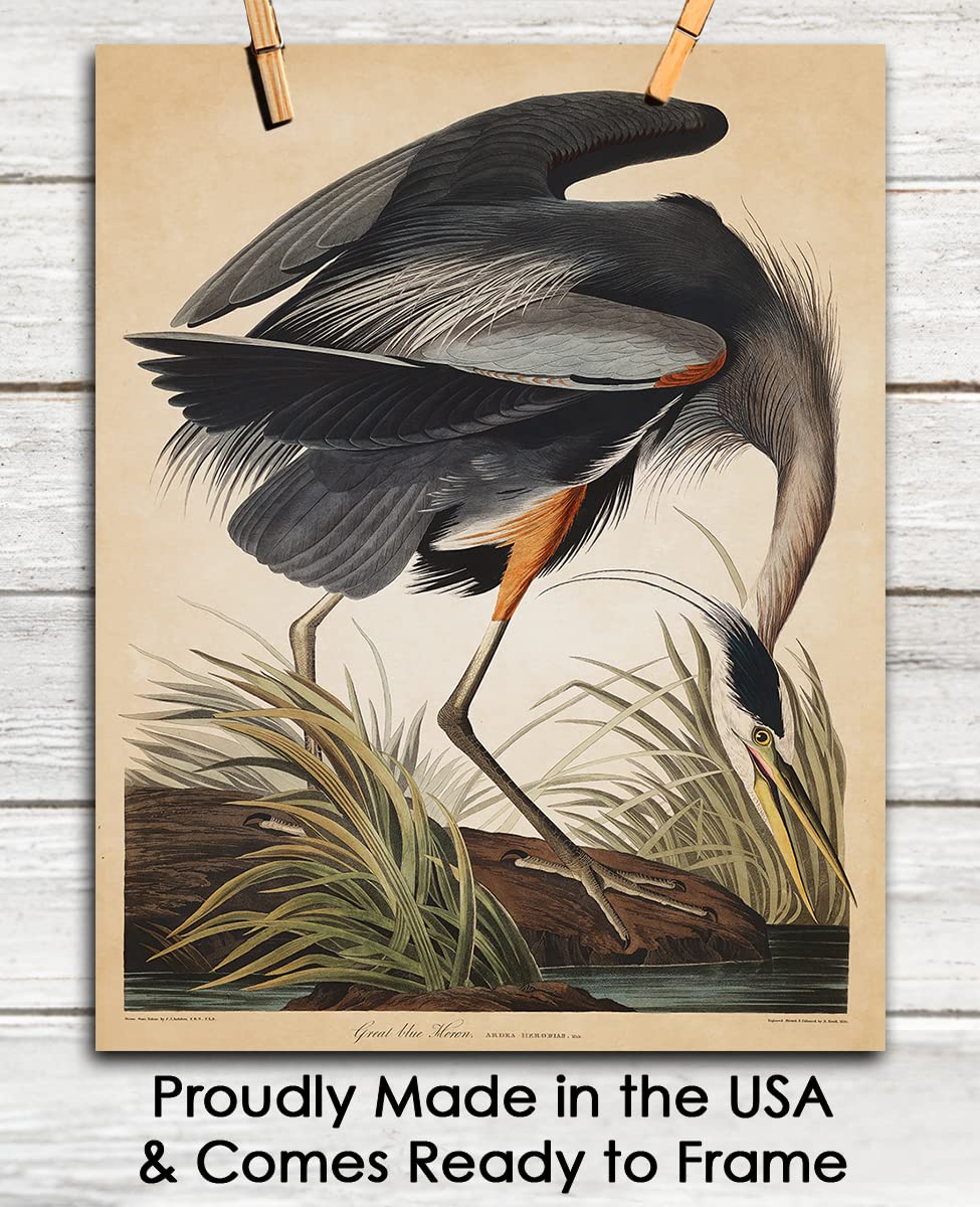 Vintage Blue Heron Wall Art Print: 11x14 Unframed Bird Wall Decor Poster for Home, Office, Dorm, Farmhouse, Bedroom & Living Room | Creative Housewarming Gift Idea for Bird and Nature Lovers