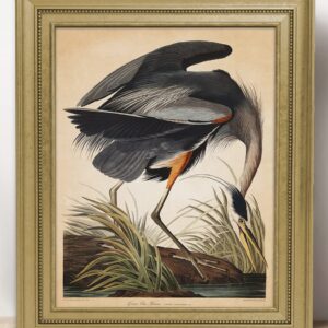 Vintage Blue Heron Wall Art Print: 11x14 Unframed Bird Wall Decor Poster for Home, Office, Dorm, Farmhouse, Bedroom & Living Room | Creative Housewarming Gift Idea for Bird and Nature Lovers