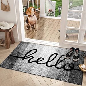 SUNNOW Indoor Doormat Front Door Entrance Door Mat 36x24 inch Non-Slip Absorbent Mud Trapper Mats, Machine Washable Low Profile Inside Entryway Small Area Rug