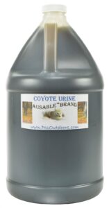 ausable brand coyote urine pure - gallon jug