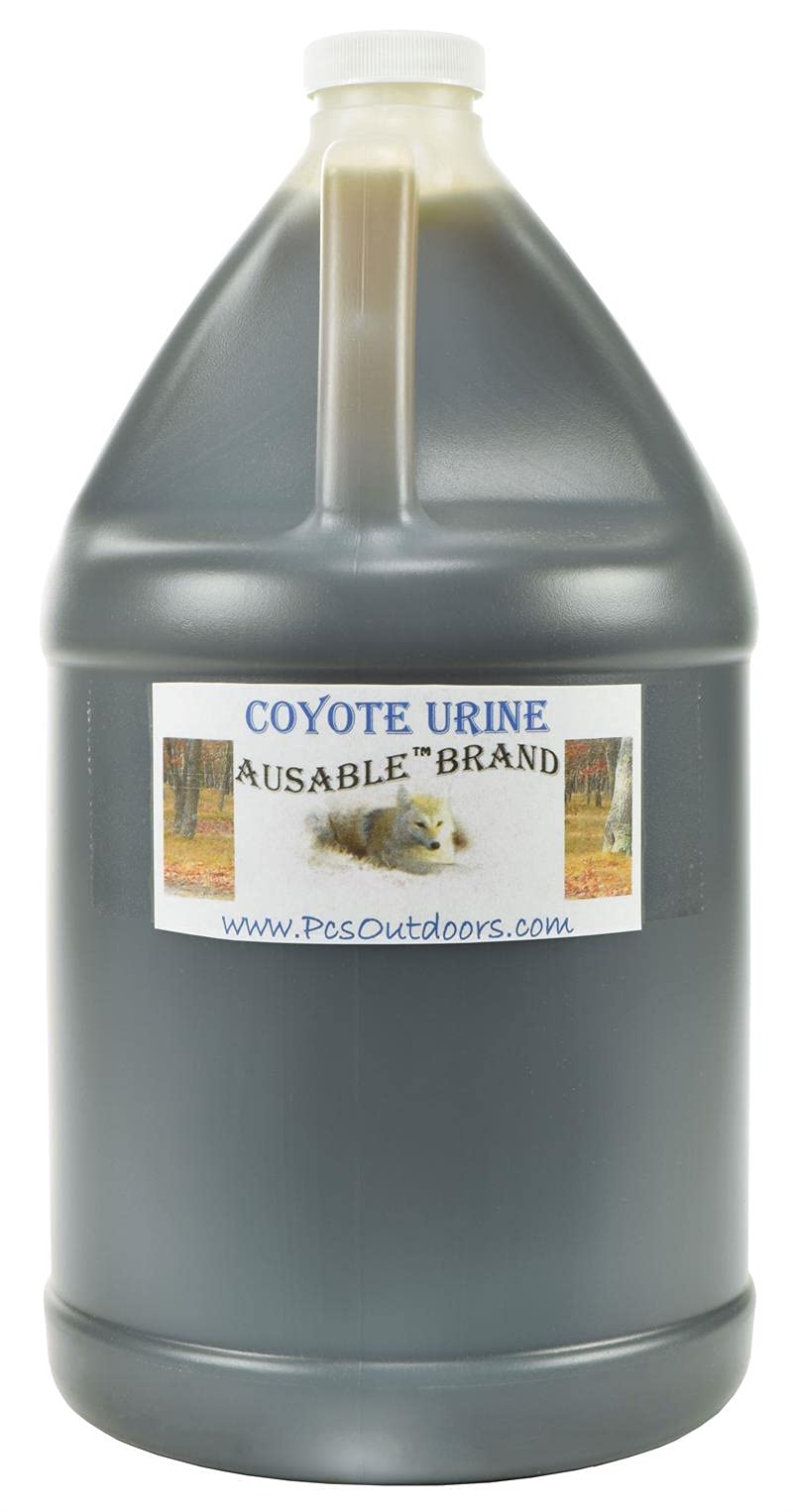 AuSable Brand Coyote Urine Pure - Gallon Jug