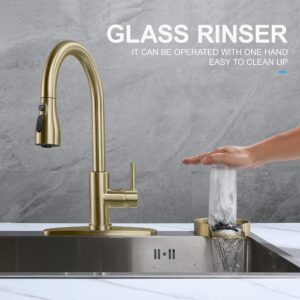 GAGALIFE Glass Rinser for Kitchen Sink, Cup Washer for Bar Sink, G86066BG (Brushed Gold)