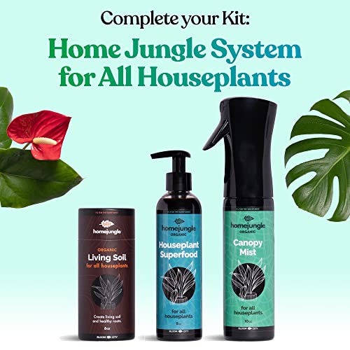 Home Jungle - Canopy Mist Organic Foliar Spray Fertilizer for Indoor Houseplants - Formulated to be Safe for All Plants, Pets, and Family.