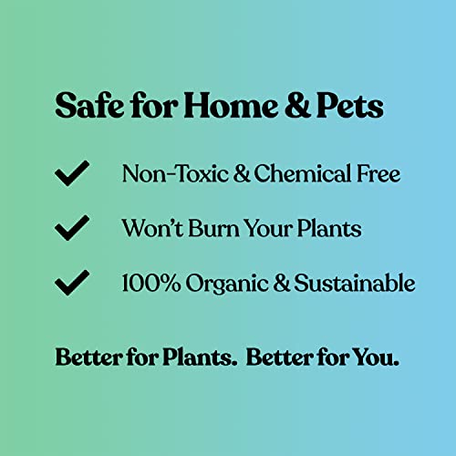 Home Jungle - Canopy Mist Organic Foliar Spray Fertilizer for Indoor Houseplants - Formulated to be Safe for All Plants, Pets, and Family.