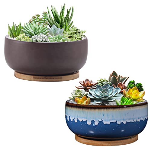 EPFamily 8 Inch Succulent Planter with Drainage Hole and Saucer for Plants Round Shallow Bonsai Planter Pot Decorate Home Office and Indoor