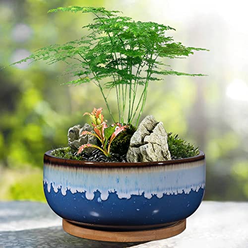 EPFamily 8 Inch Succulent Planter with Drainage Hole and Saucer for Plants Round Shallow Bonsai Planter Pot Decorate Home Office and Indoor