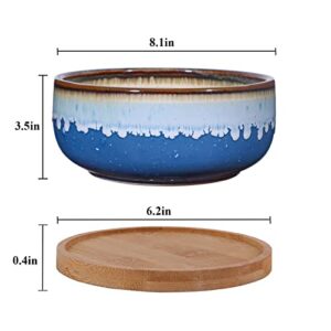 EPFamily 8 Inch Succulent Planter with Drainage Hole and Saucer for Plants Round Shallow Bonsai Planter Pot Decorate Home Office and Indoor