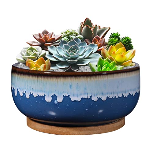 EPFamily 8 Inch Succulent Planter with Drainage Hole and Saucer for Plants Round Shallow Bonsai Planter Pot Decorate Home Office and Indoor